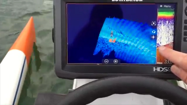 Отметки рыбы на 2D сонаре и структурном сканере
